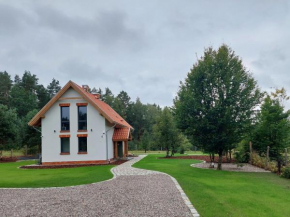 Beztroskie Barwiny nad jeziorem Wulpińskim na Warmii, Gmina Gietrzwałd